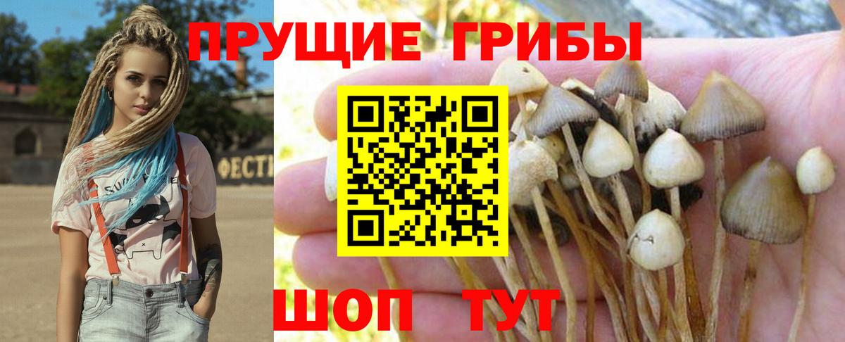 Галлюциногенные грибы мухоморы Россия
