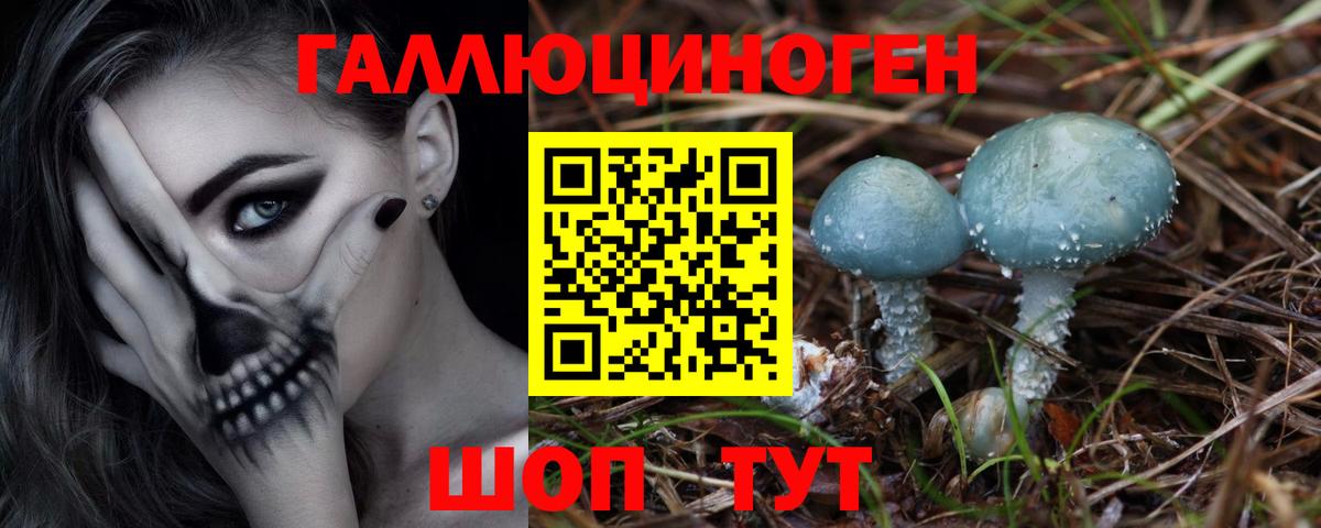 Псилоцибиновые грибы MAGIC MUSHROOMS  Псилоцибиновые грибы мухоморы  Вход с VPN  Россия 